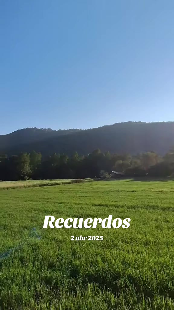 @Donato Martinez