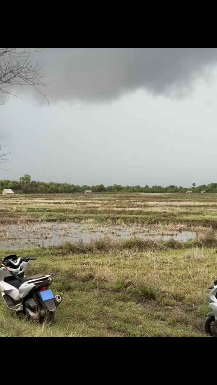 @Layee Oung