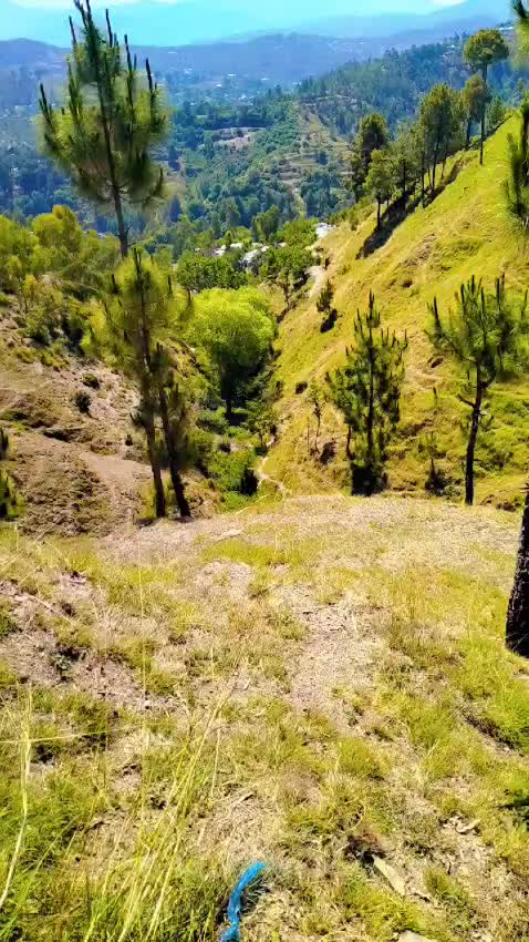 @pagal Foje