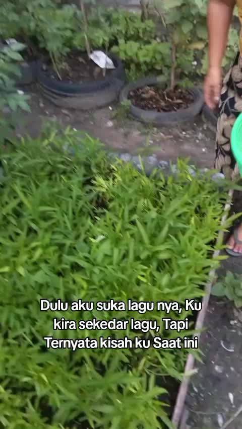 @Rita Wati Simarmata