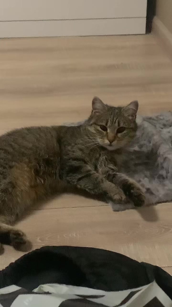 @Кука