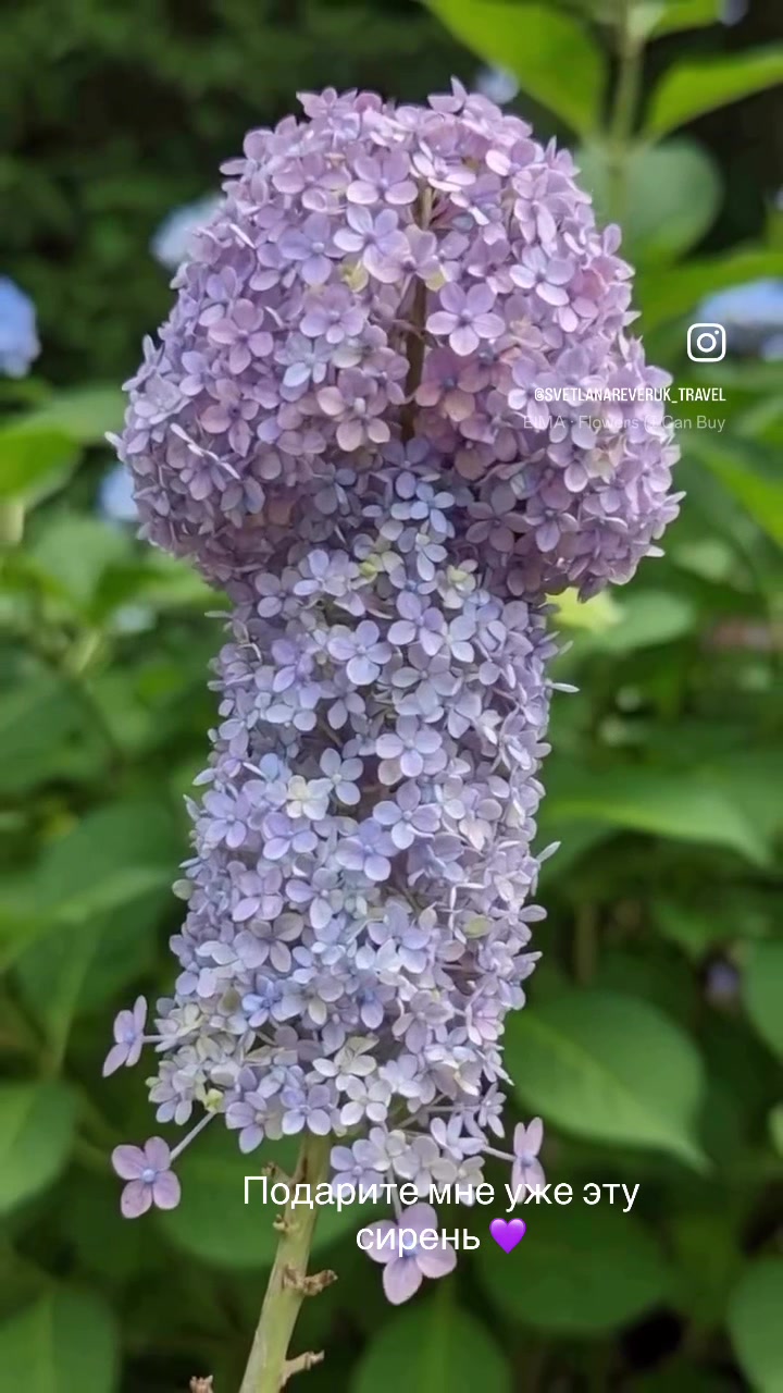 @ennata_flexy