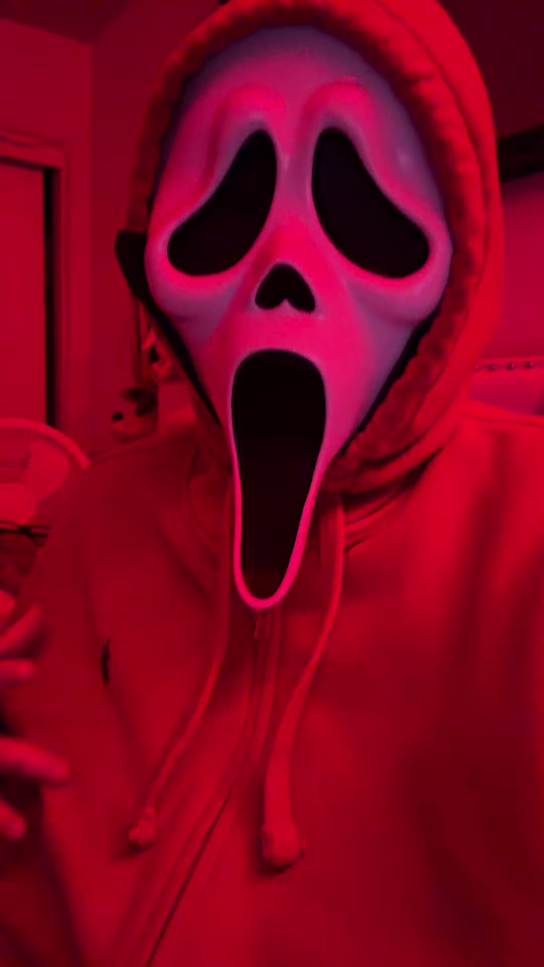 @๐ต๐ถ๐ท๐๐ต๐ถ๐๐ค.