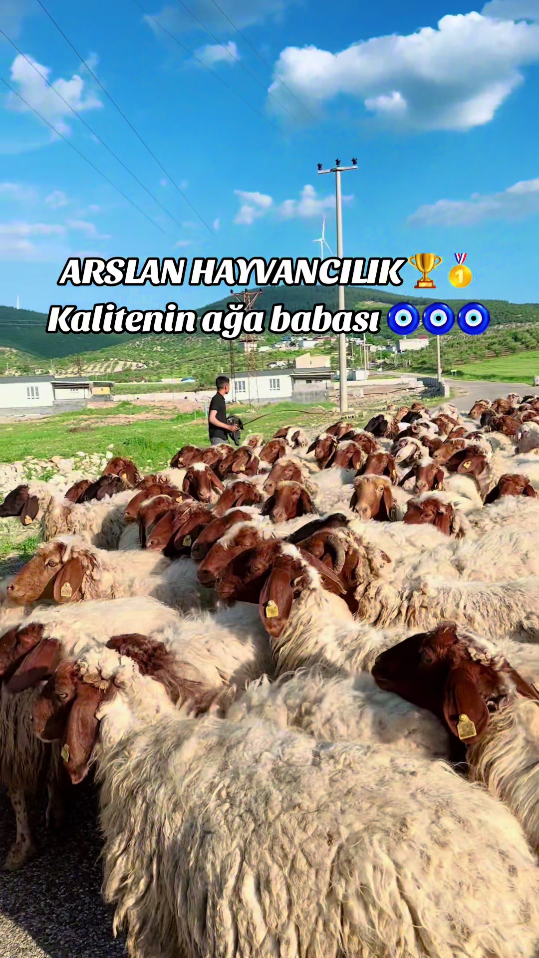 @cuma_arslan027