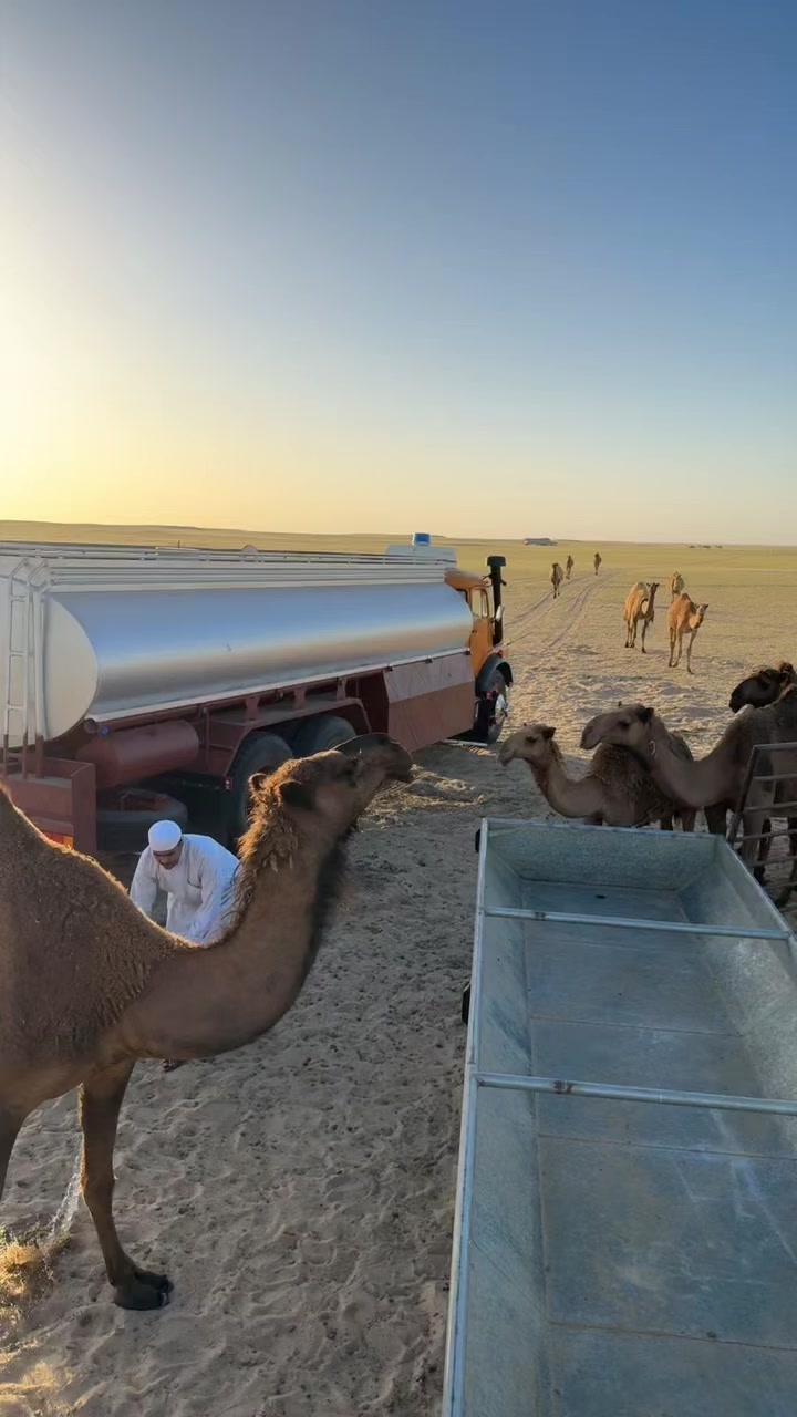 @فذكر فإن الذكرى تنفع المؤمنين