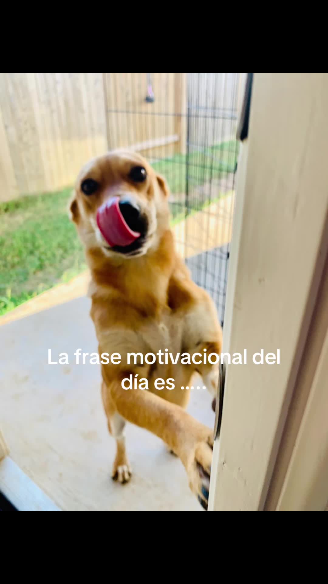 @Sandra Ramos