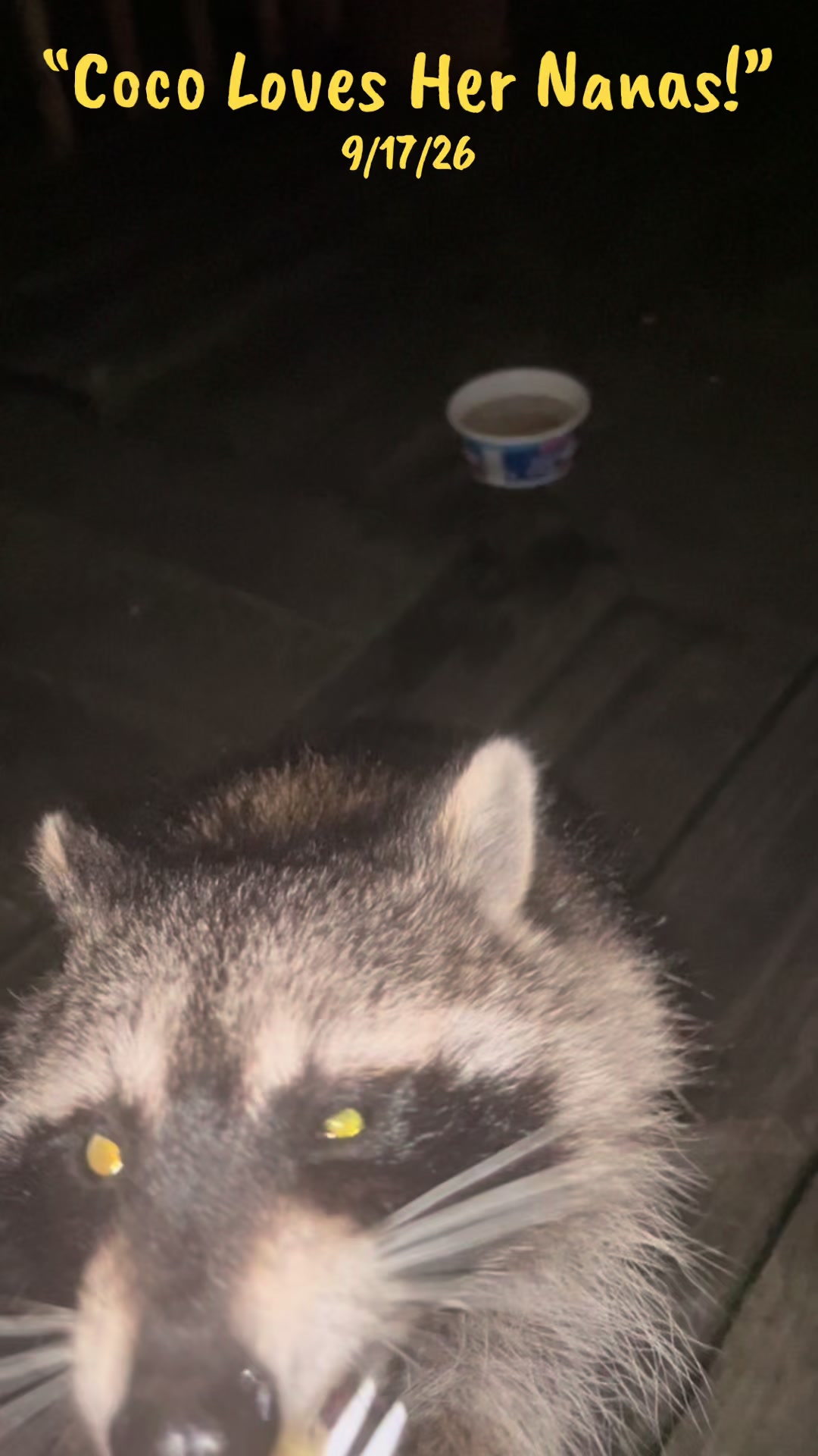 @LoneWolfKritterKam