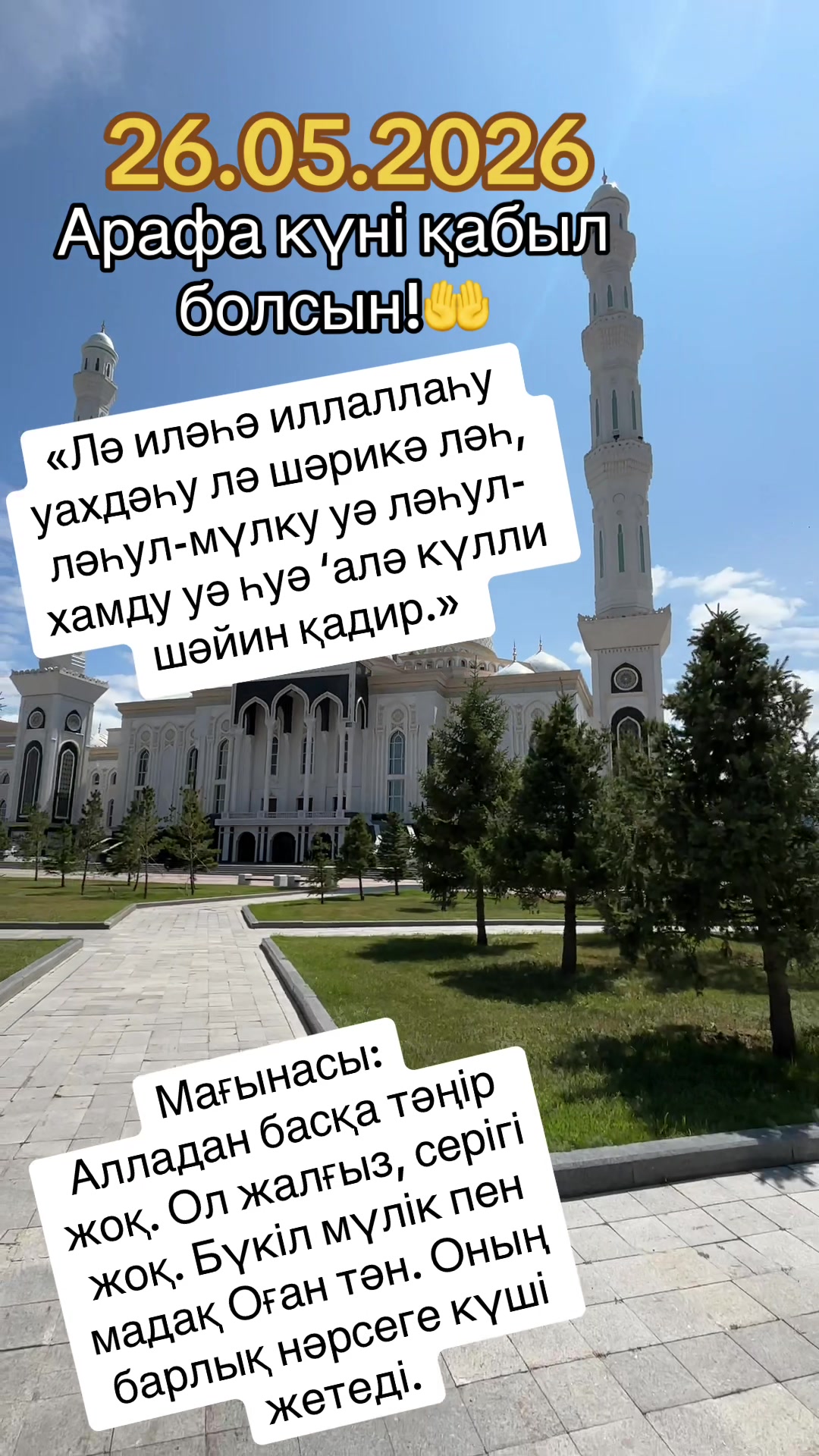 @Tleuzhanova Gulya🌸