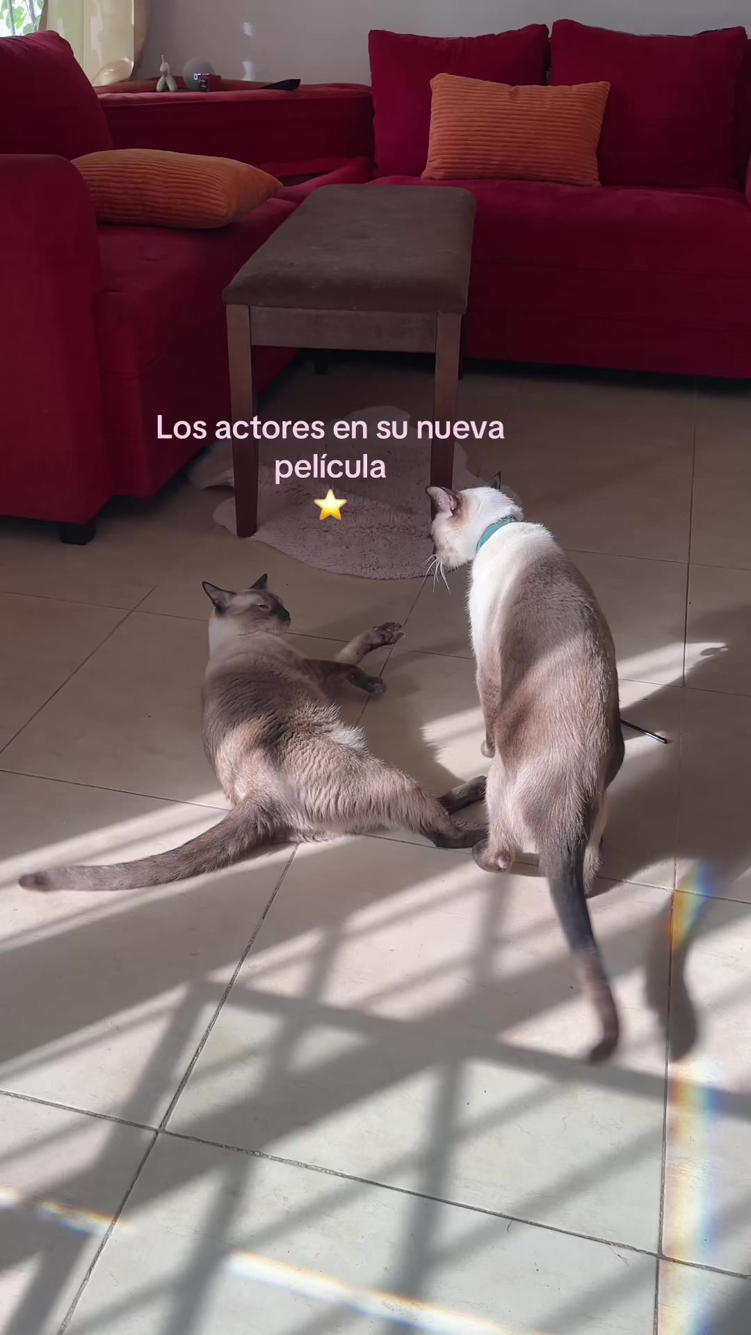 @Hermanitos siameses