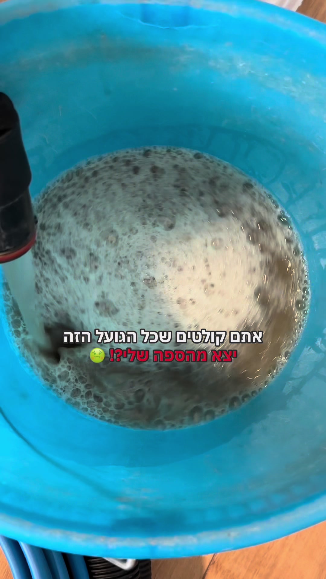 @Maya Agassi🍐יוצרת תוכן ופודית