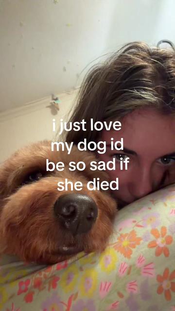 @🐻