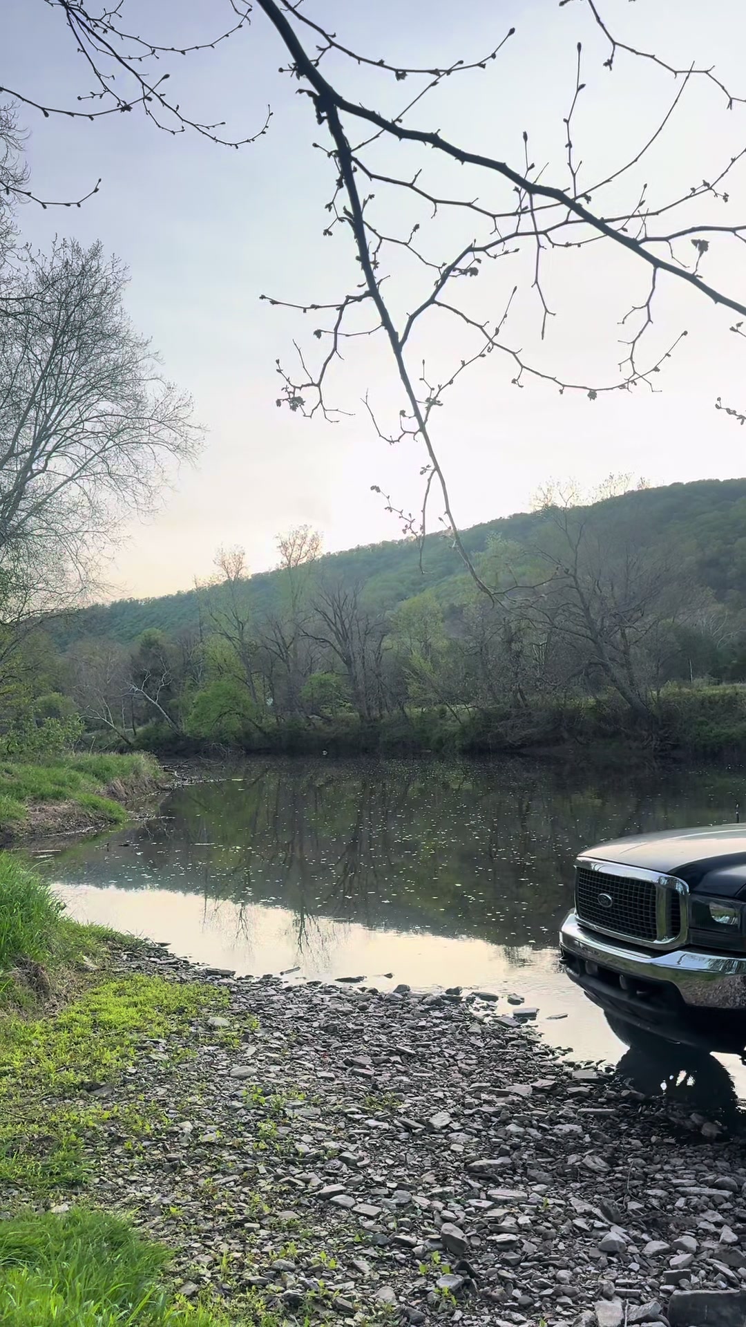 @6.0_dane