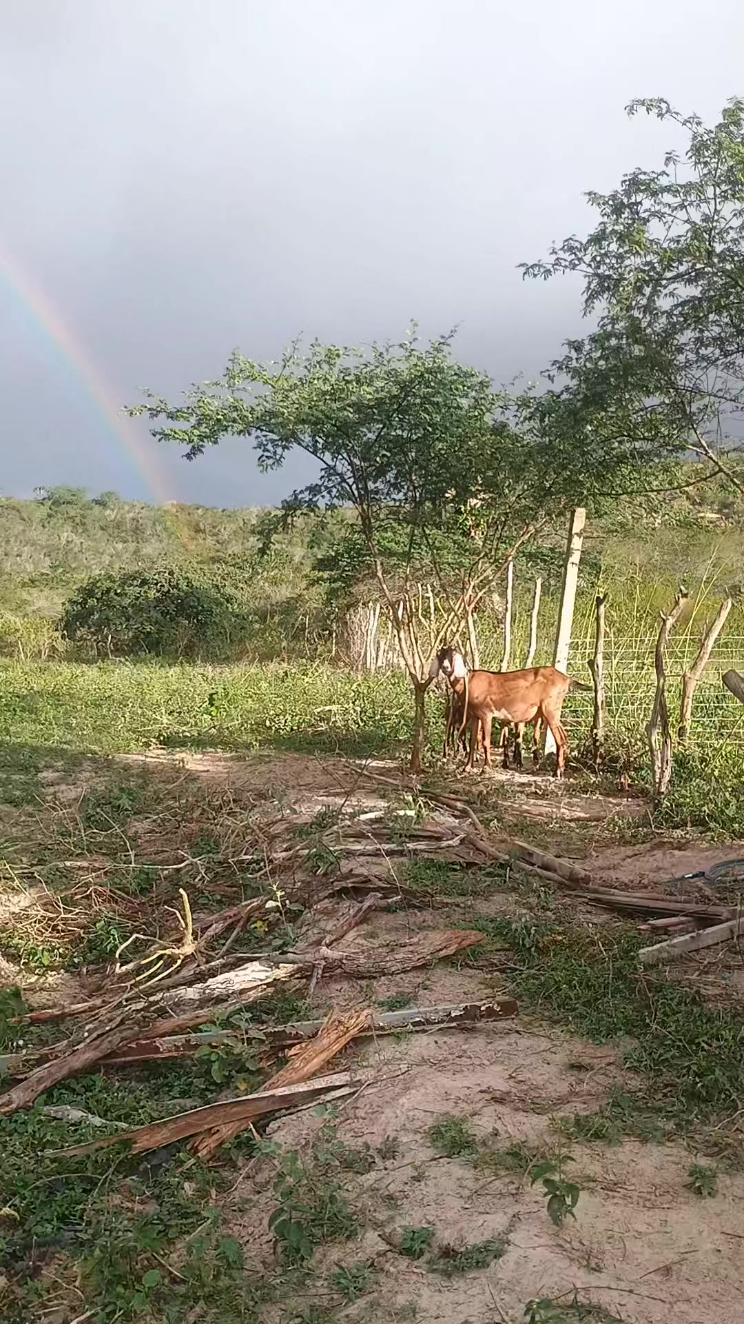 @marcosantos0105