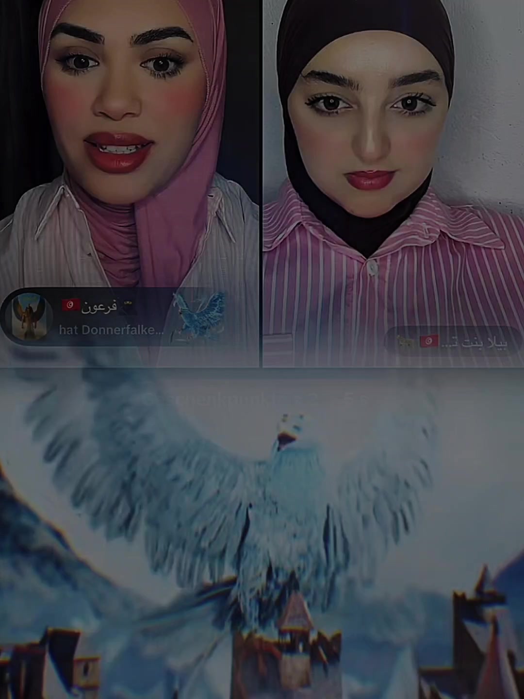 @ANIS المصمم