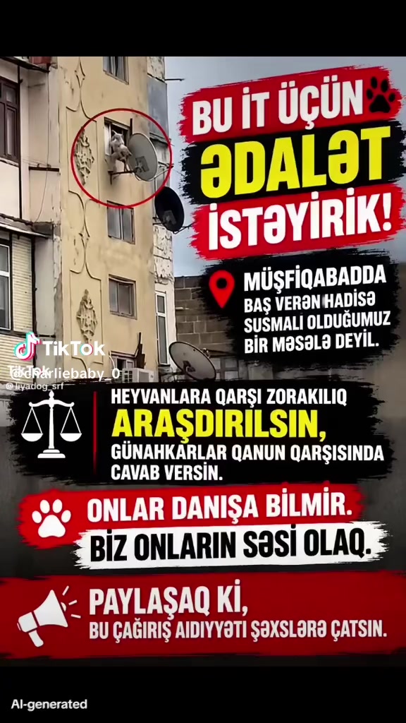 @Sahibsiz heyvanlara dəstək