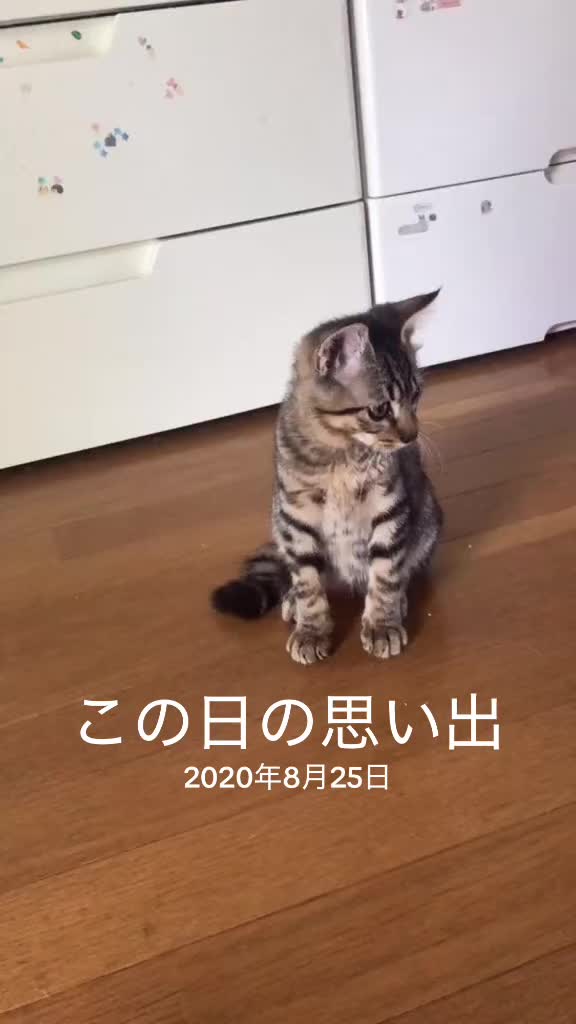 @♪♪ナォ♪♪