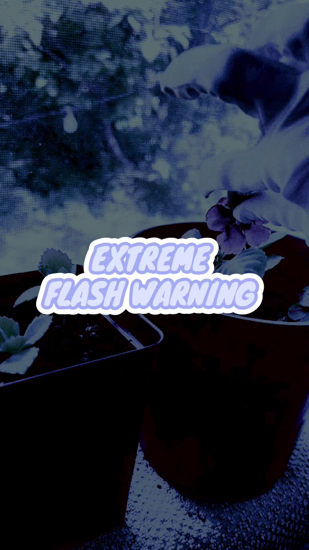 @Trempled