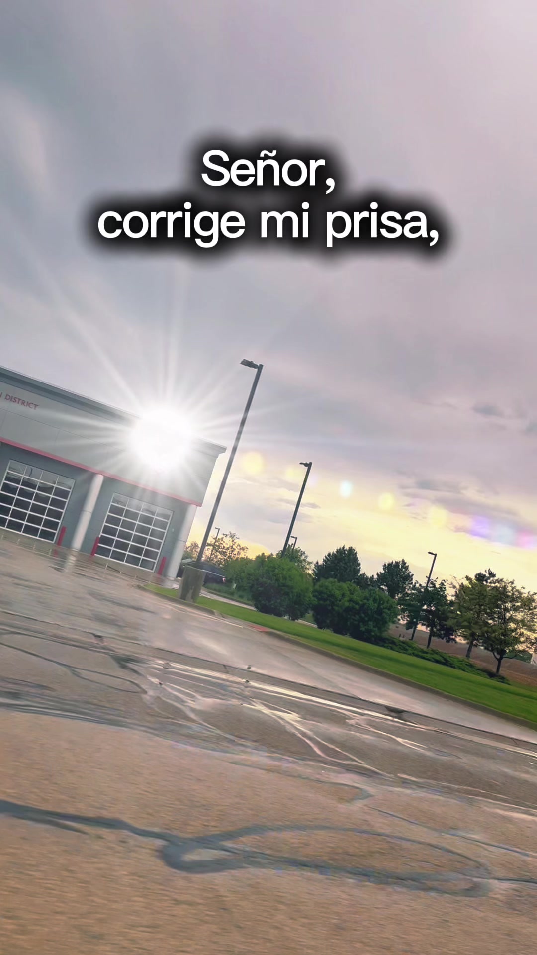@Paloma Rodriguez 🌹