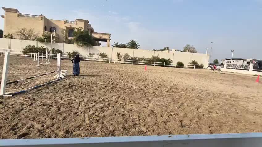 @Bassant El Dowaik