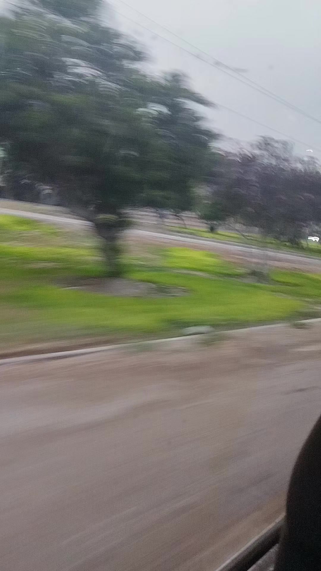 @juliana_oficial_23 🇵🇪🐯🐯