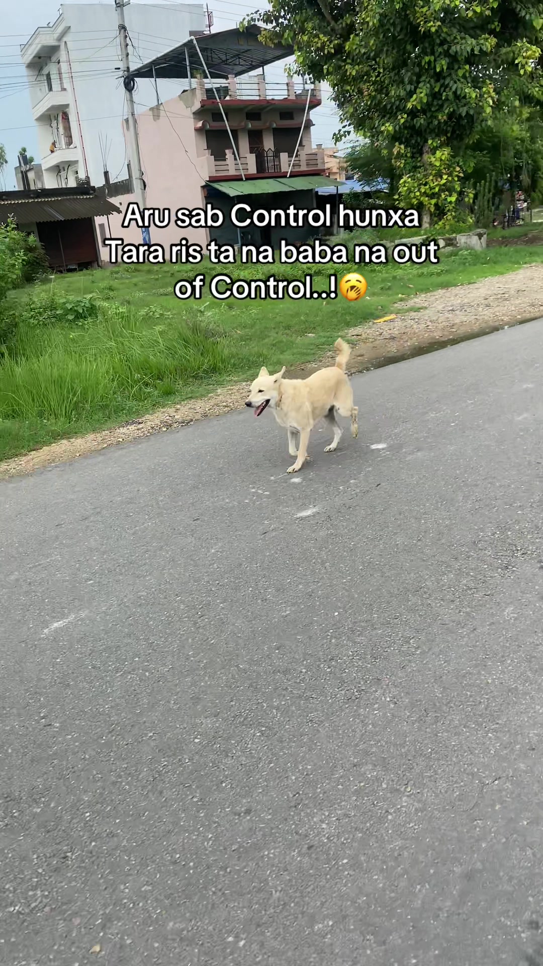 @meeow390