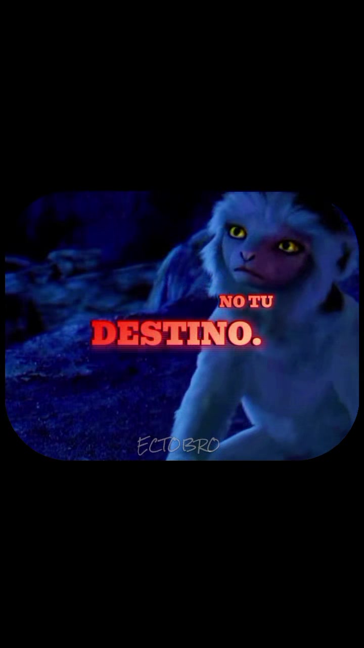 @ECTOBRO