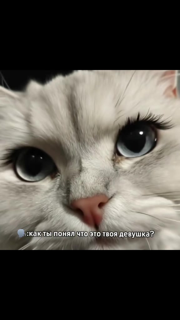 @๐๐ผ๐๐๐ธ