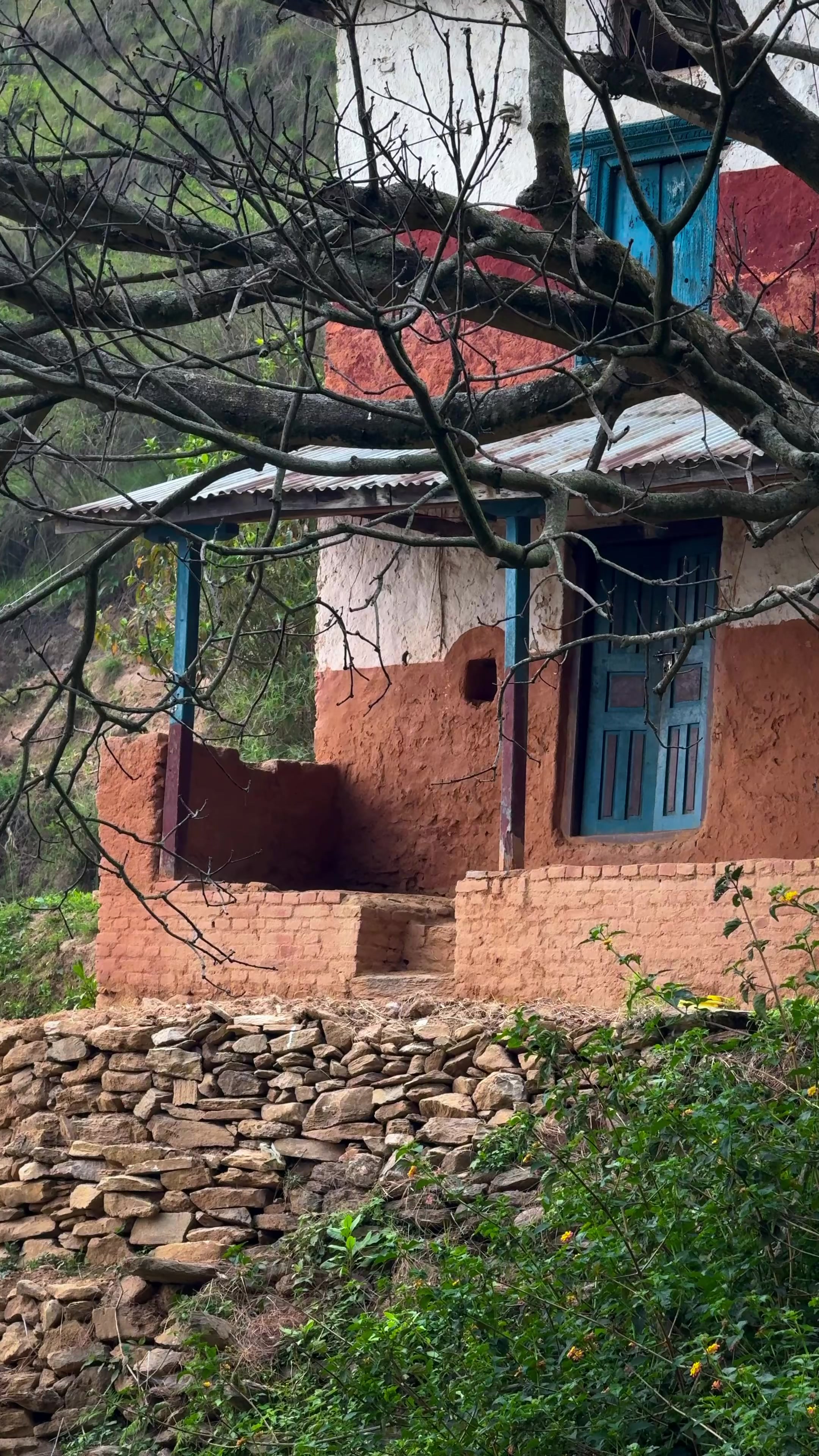 @Sudarshan Neupane