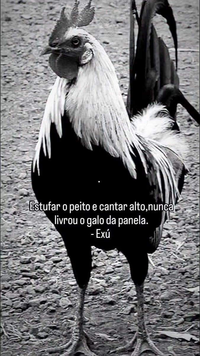 @Encantos da umbanda &copy;