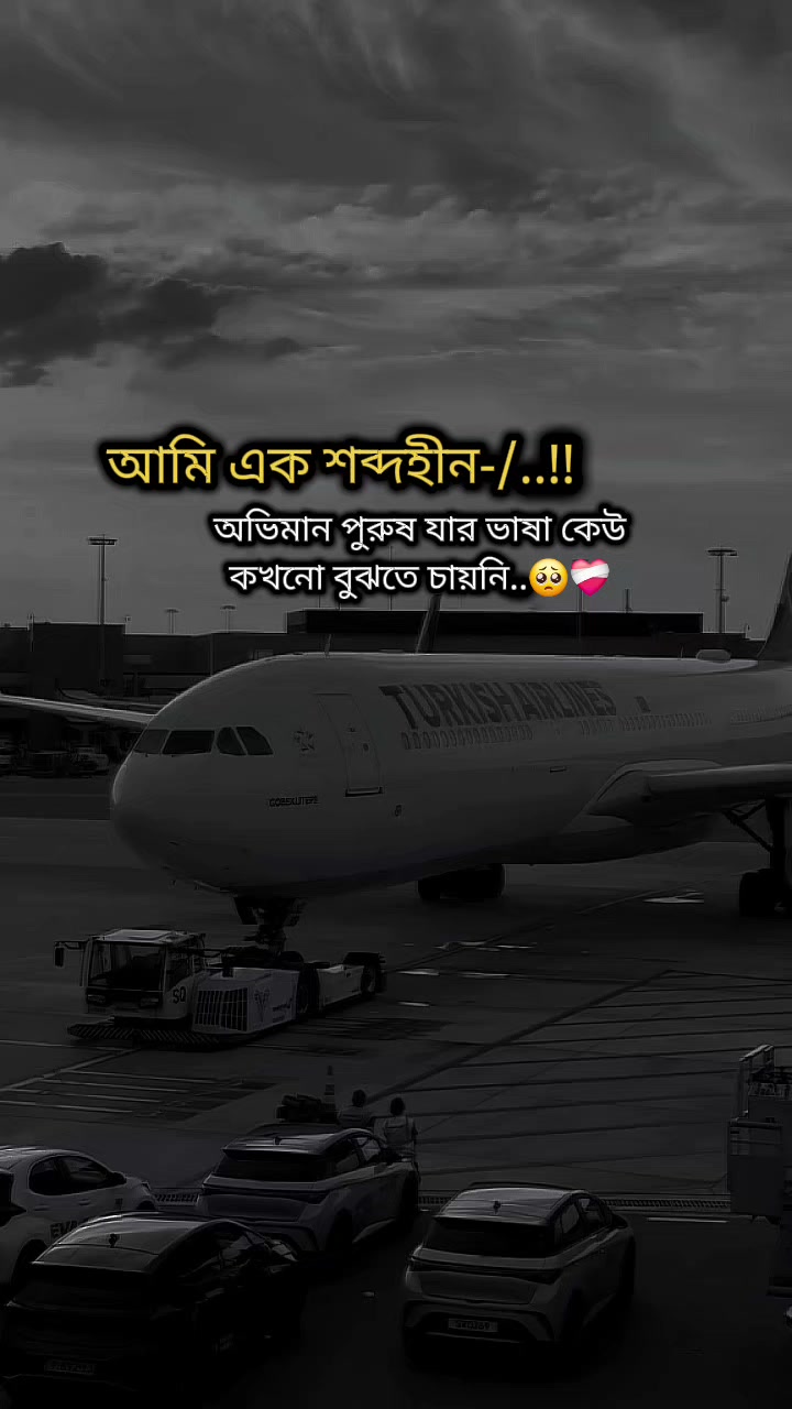 @★★প্রবাস জীবন >✈🖋️