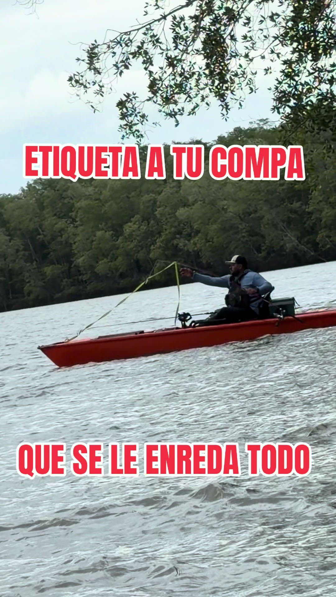 @Hidalgo mora Tours