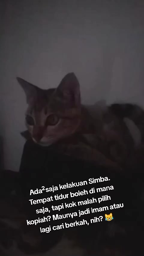 @Lina herlina