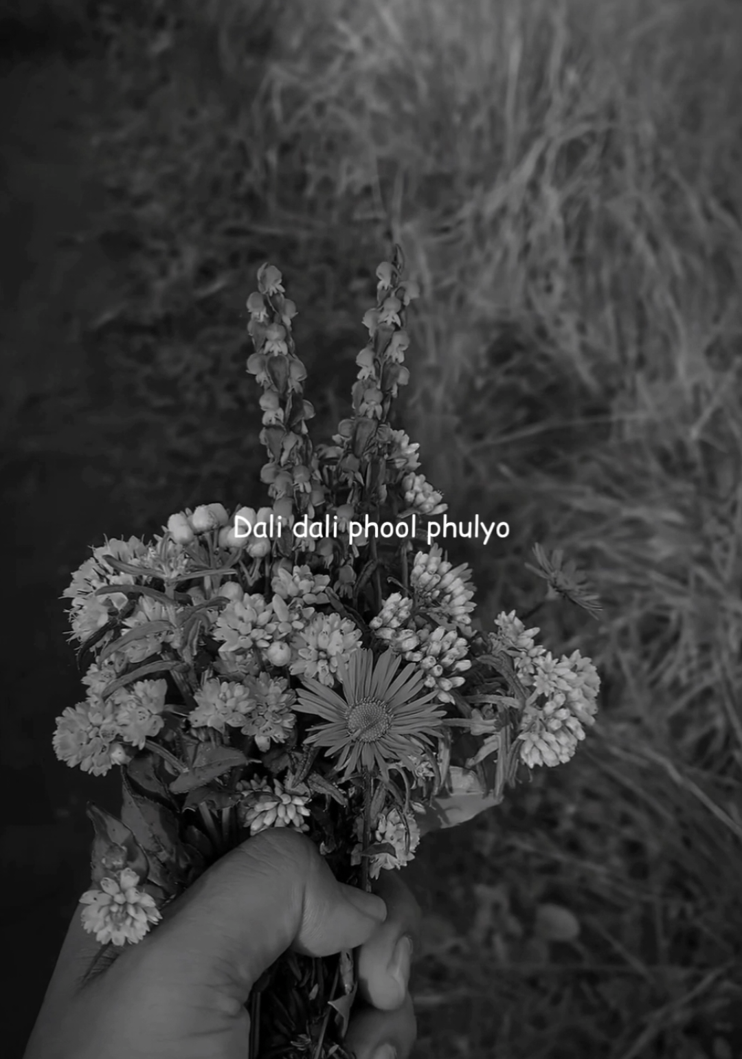 @𝐋𝐲𝐫𝐢𝐜𝐚𝐥 𝐕𝐢𝐛𝐞𝐬