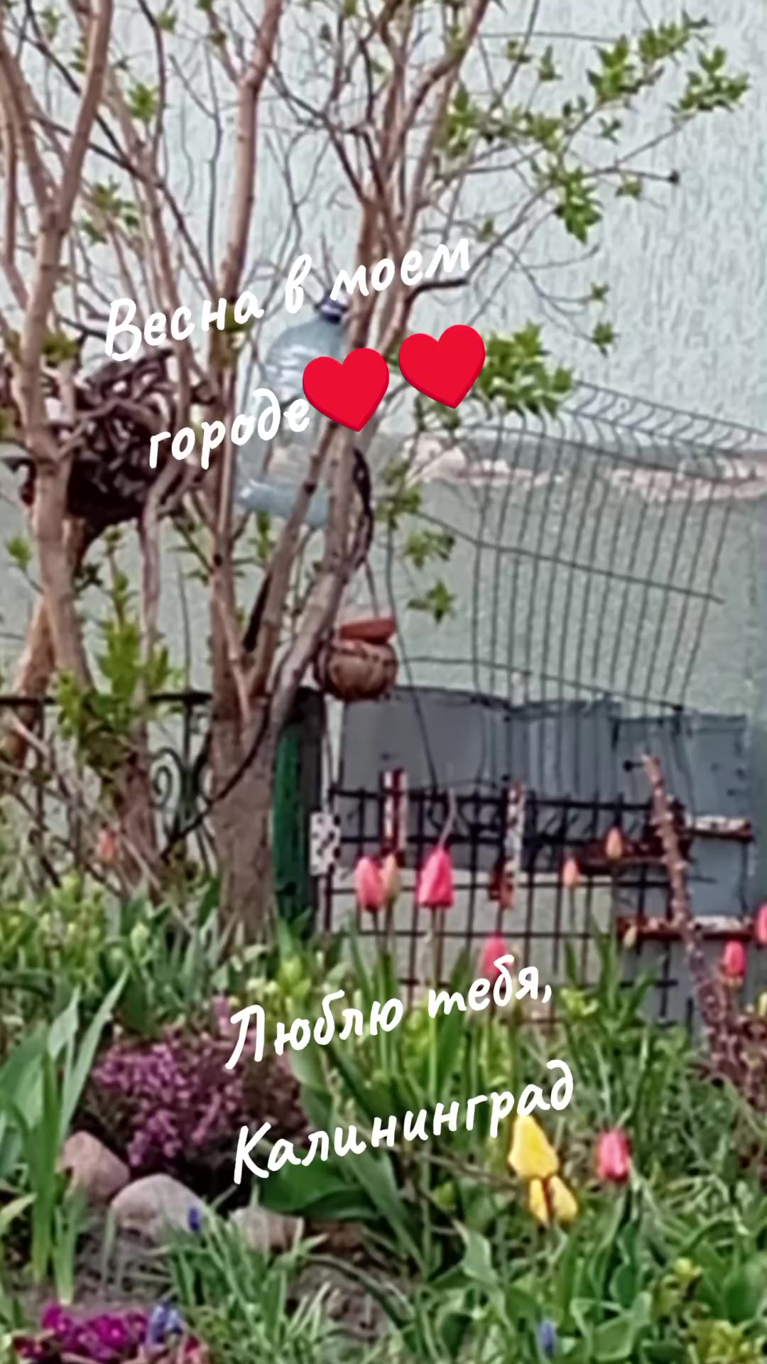 @Танюшка74