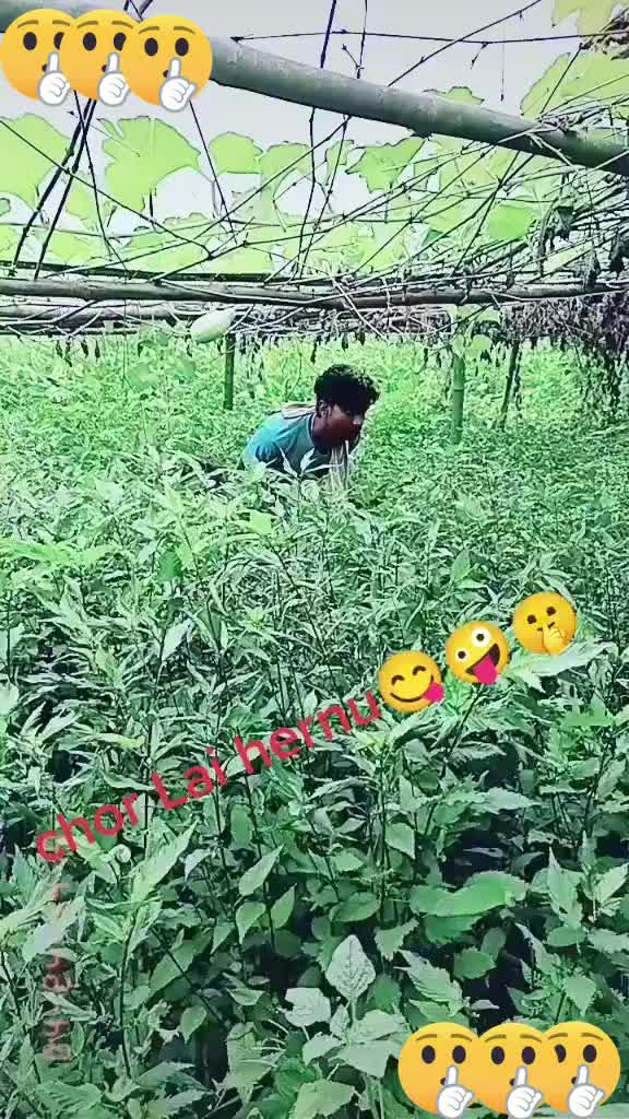@Ajay_bhai