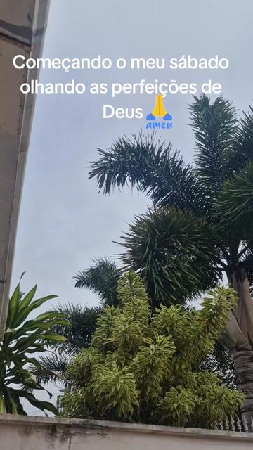 @vendasluma