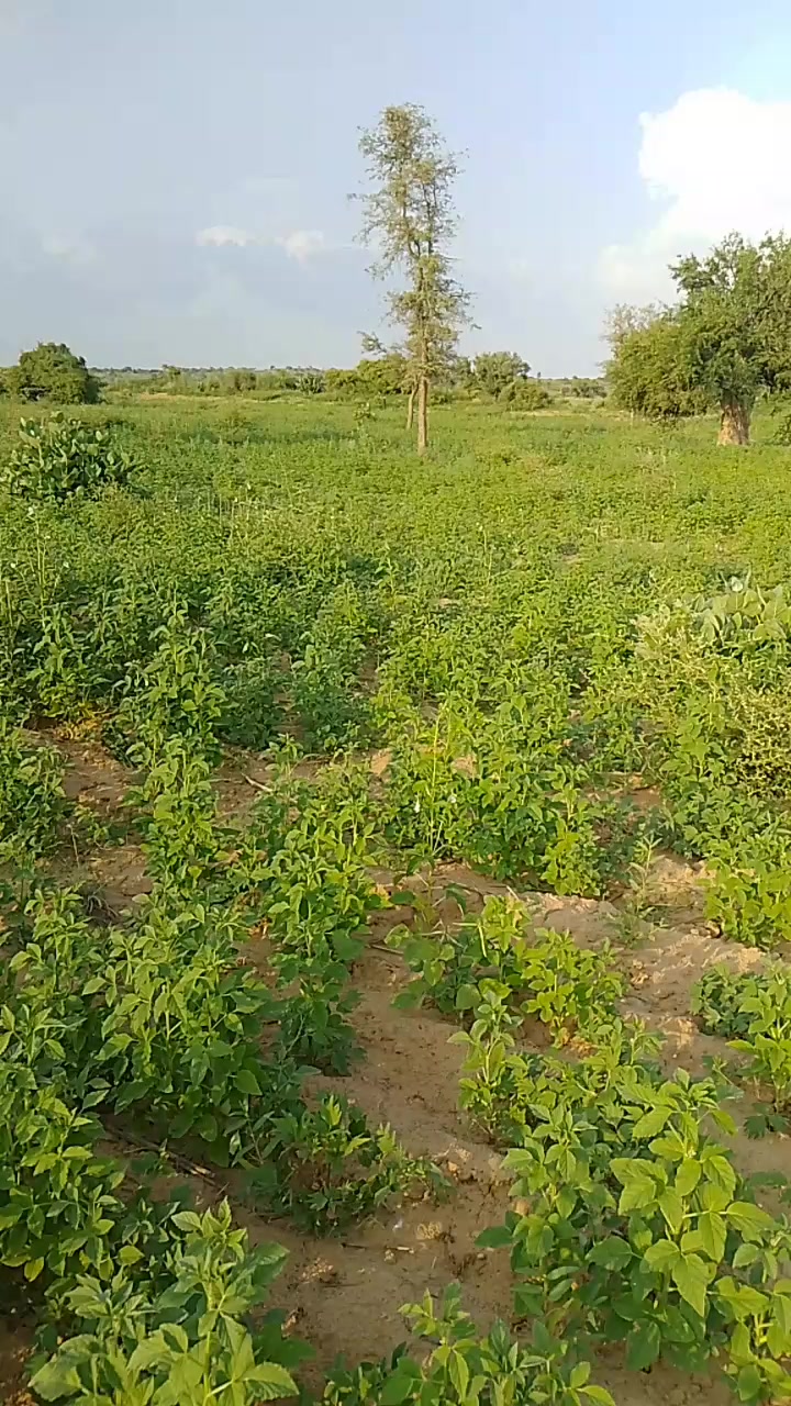 @khangar
