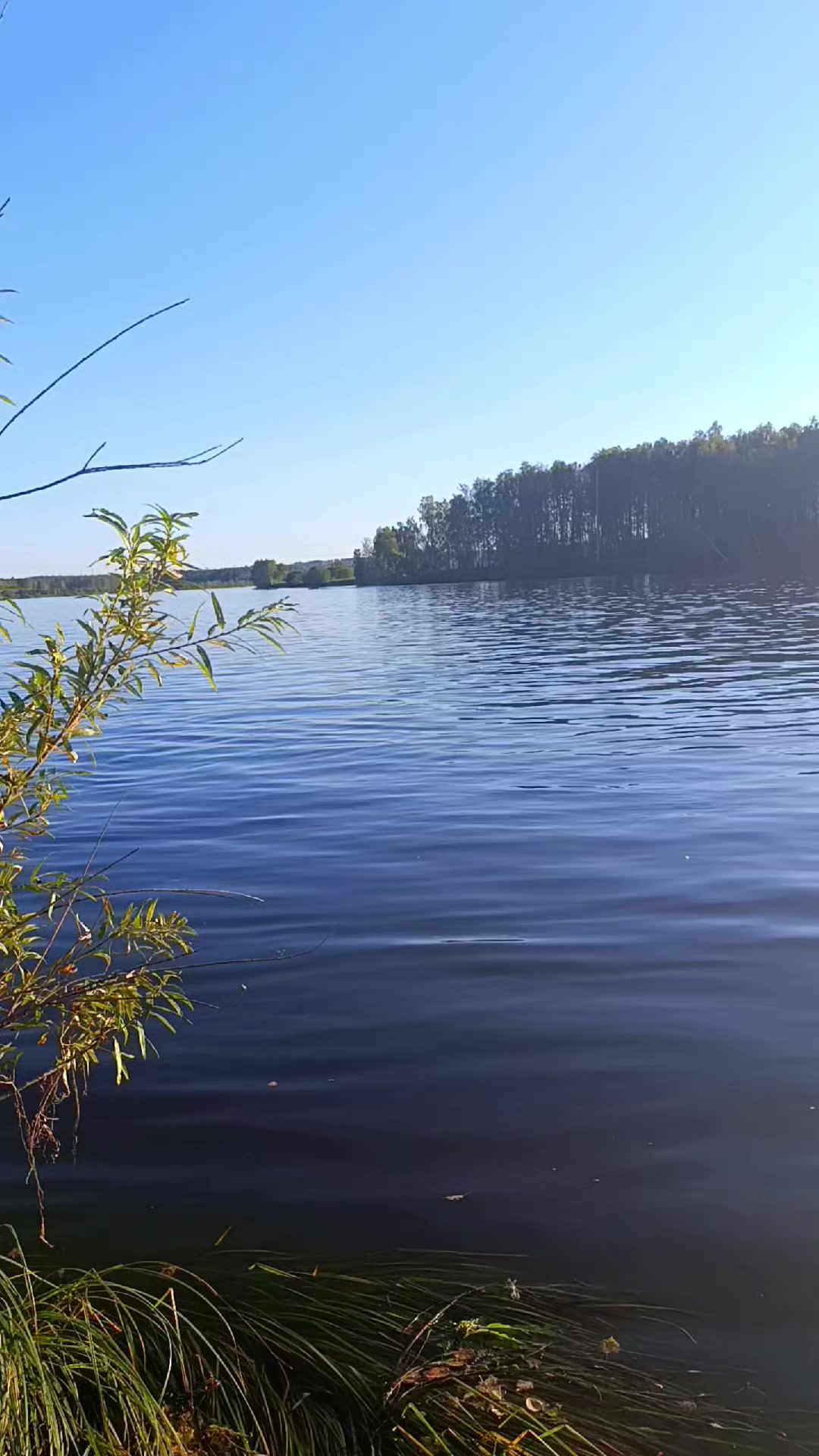@Элодея