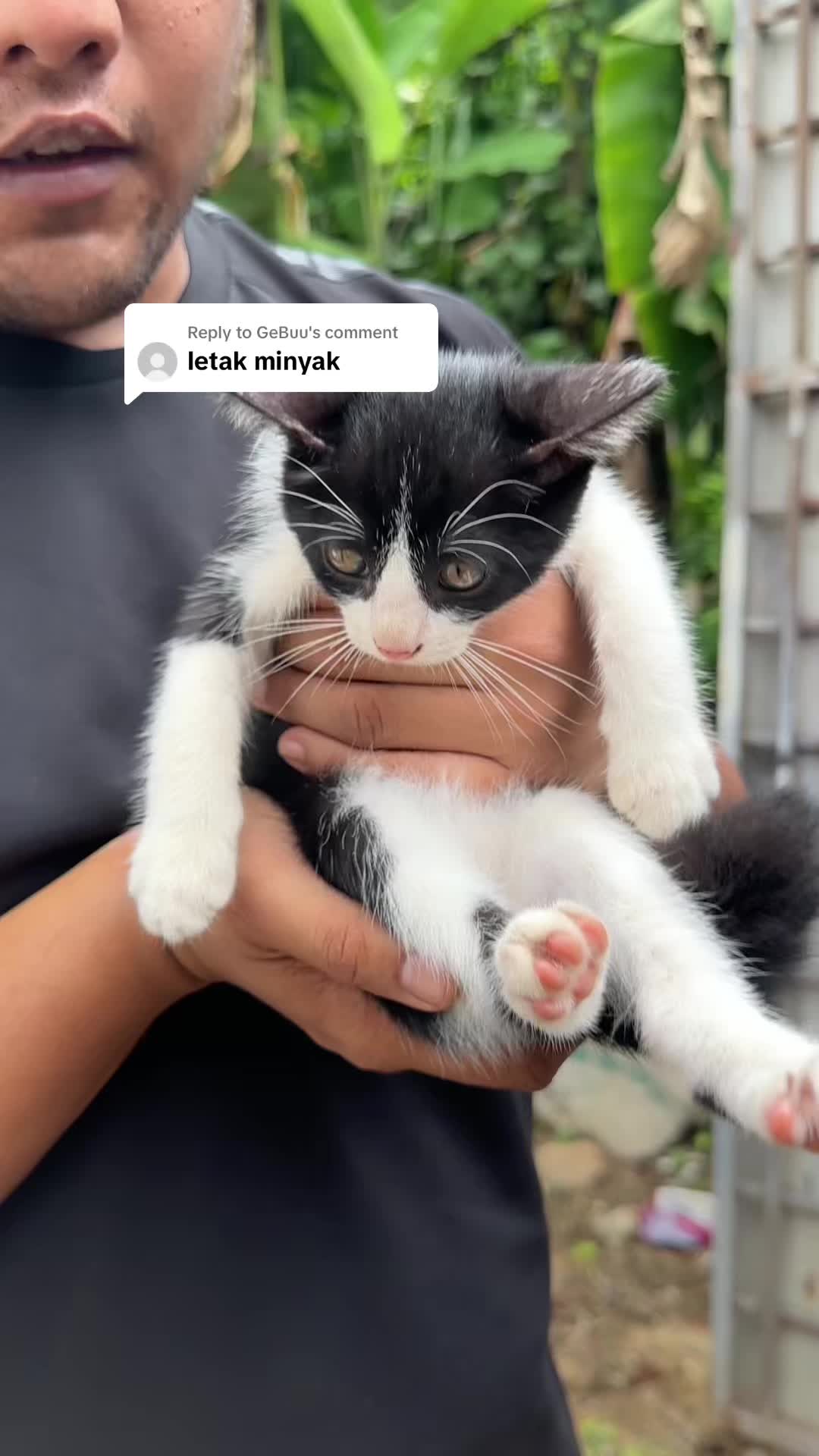 @Zuhairi