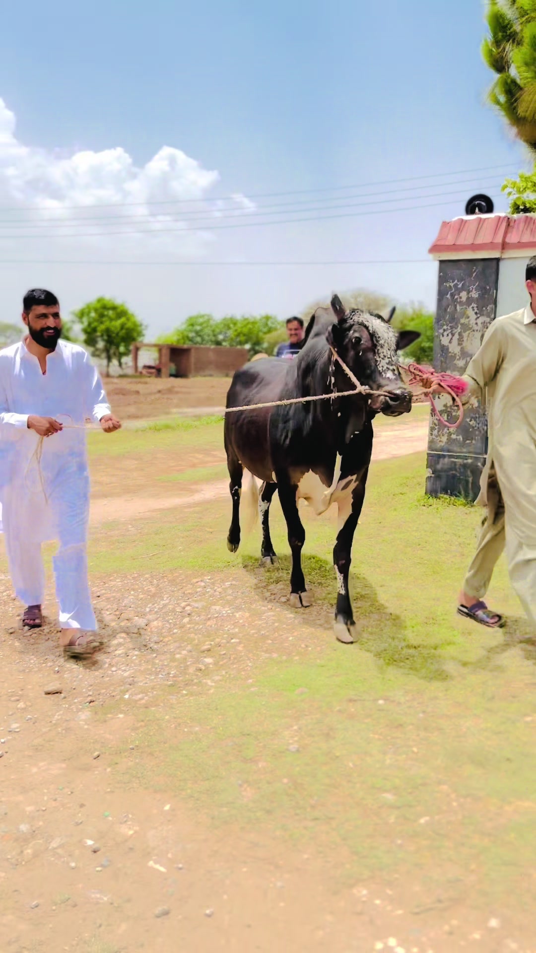 @Umer Bhatti -