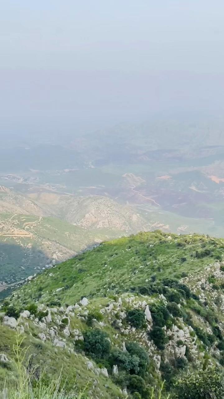 @Saif Shinwari