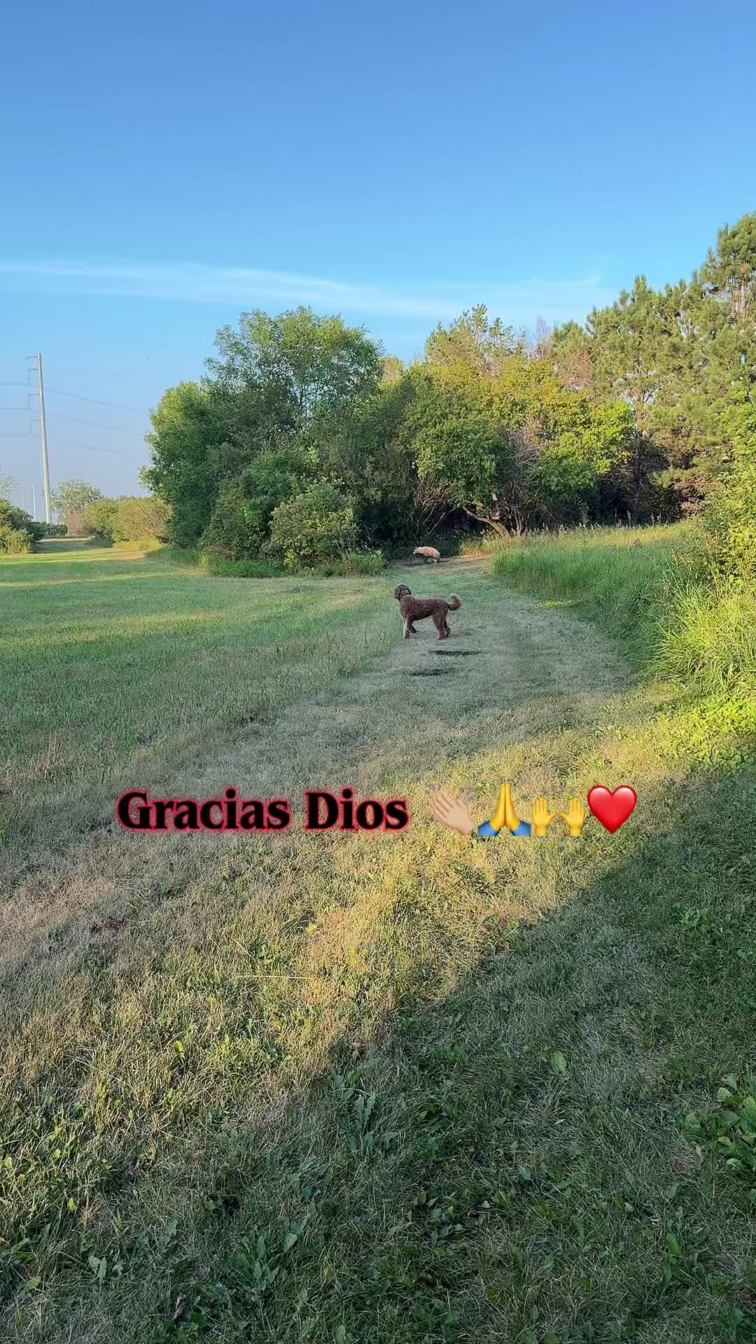 @Reyna y Churro 🐶😍