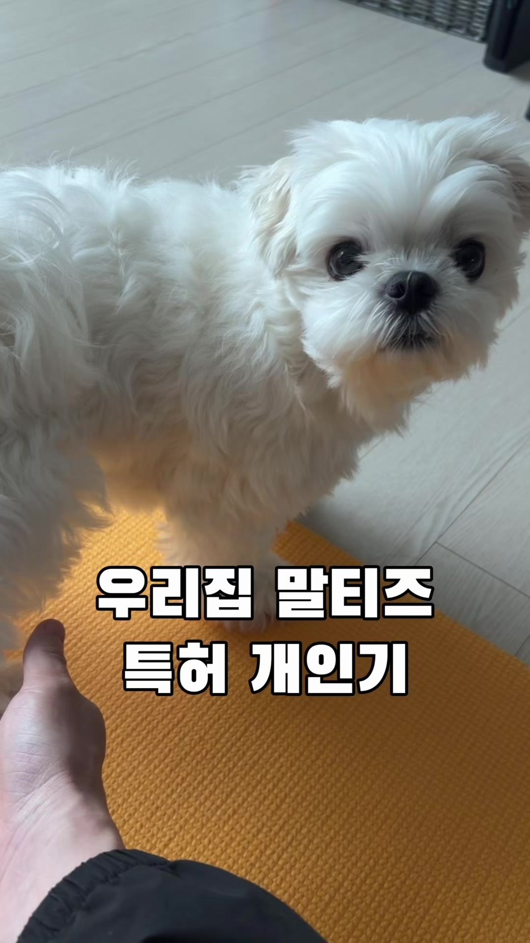 @박까까