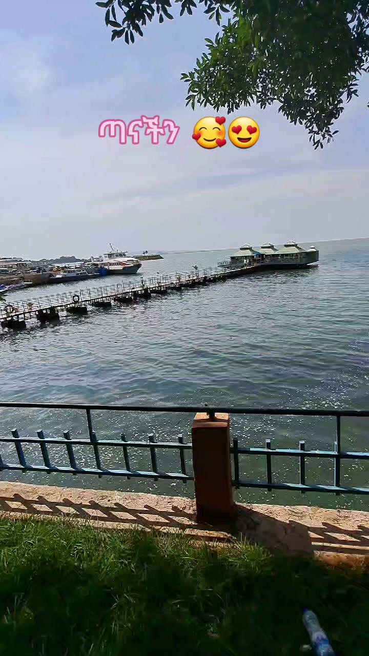 @ፀሐይ ጎንደሬዋ የአፄዎቹ ልጅ 🦁❤️