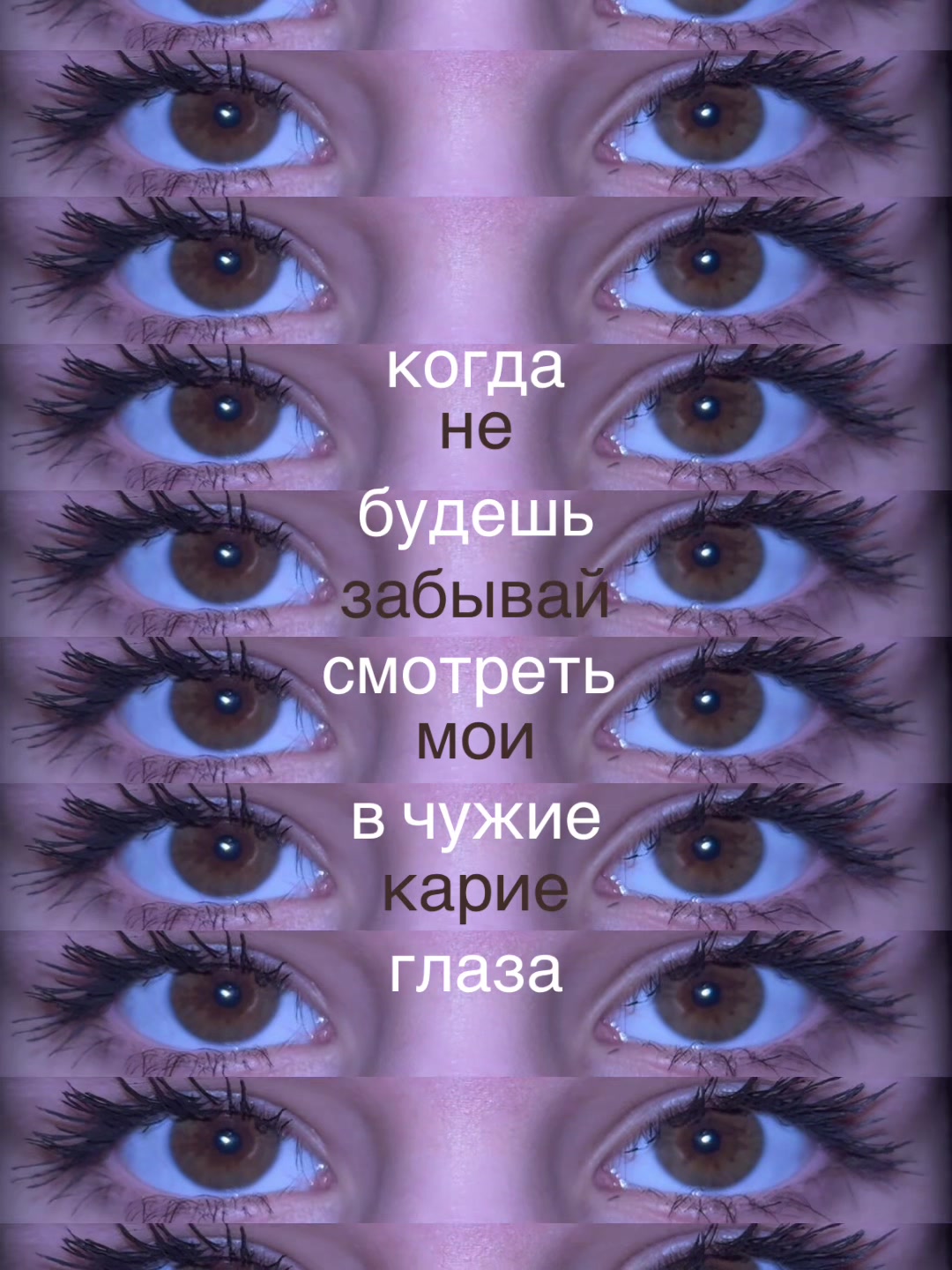 @kisskina0