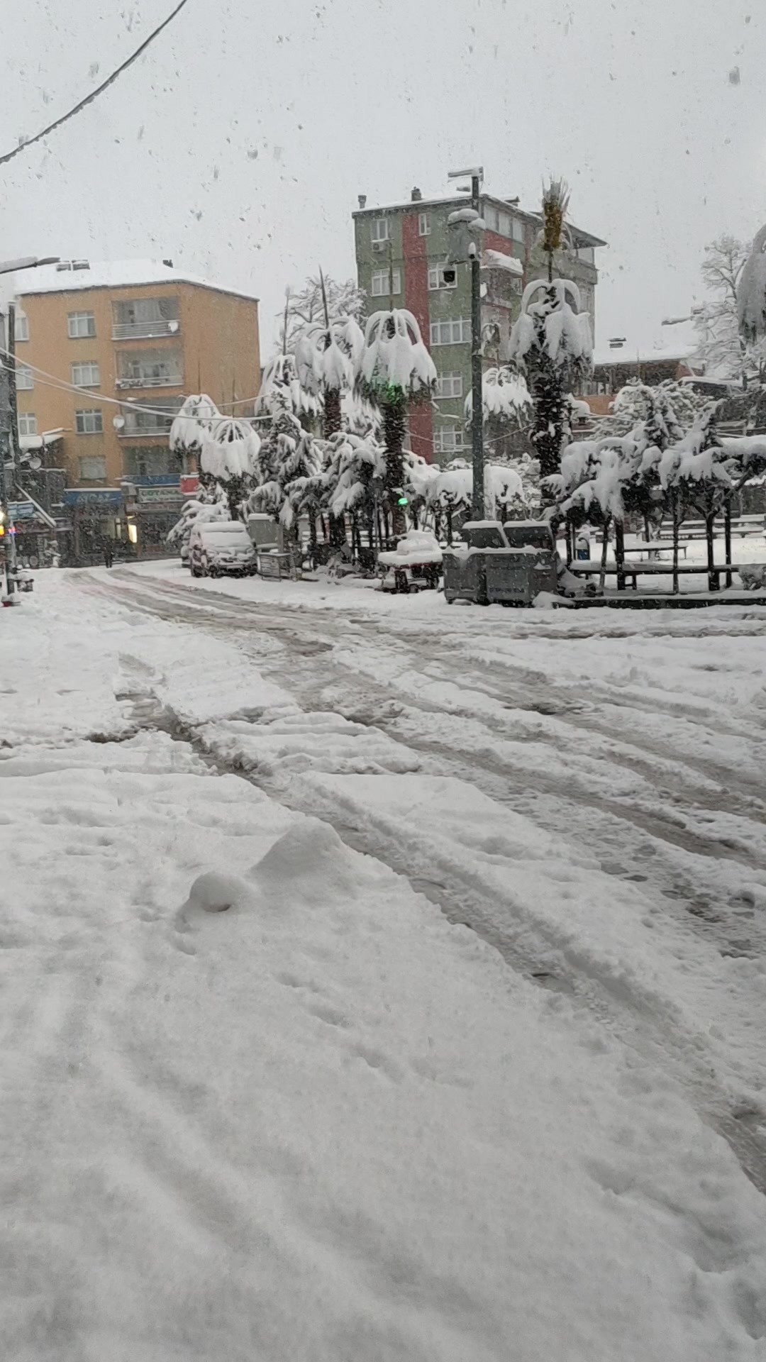 @cemil kurt