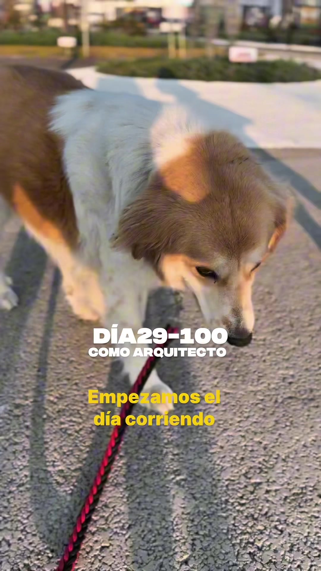 @Nelson Ch&aacute;vez