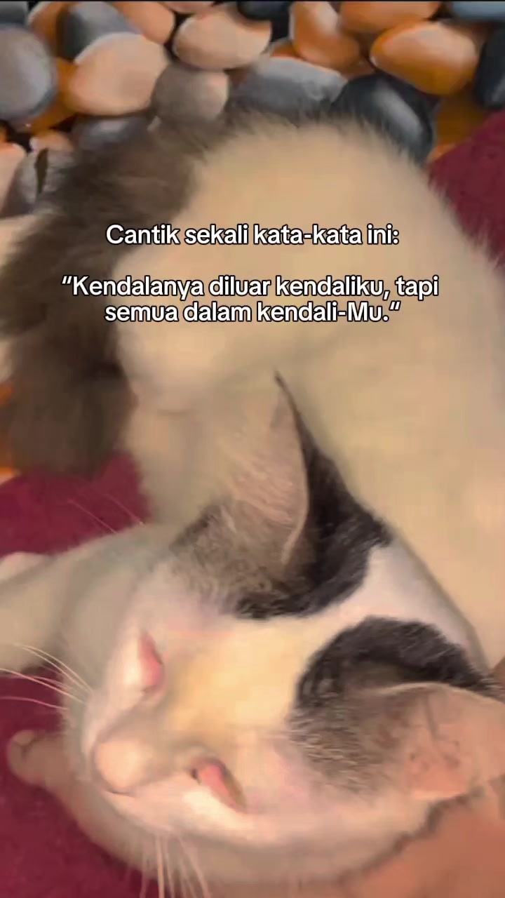 @Siska
