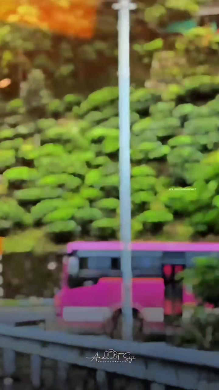 @R̶A̶S̶H̶E̶E̶D̶🌹T̶I̶R̶U̶R̶