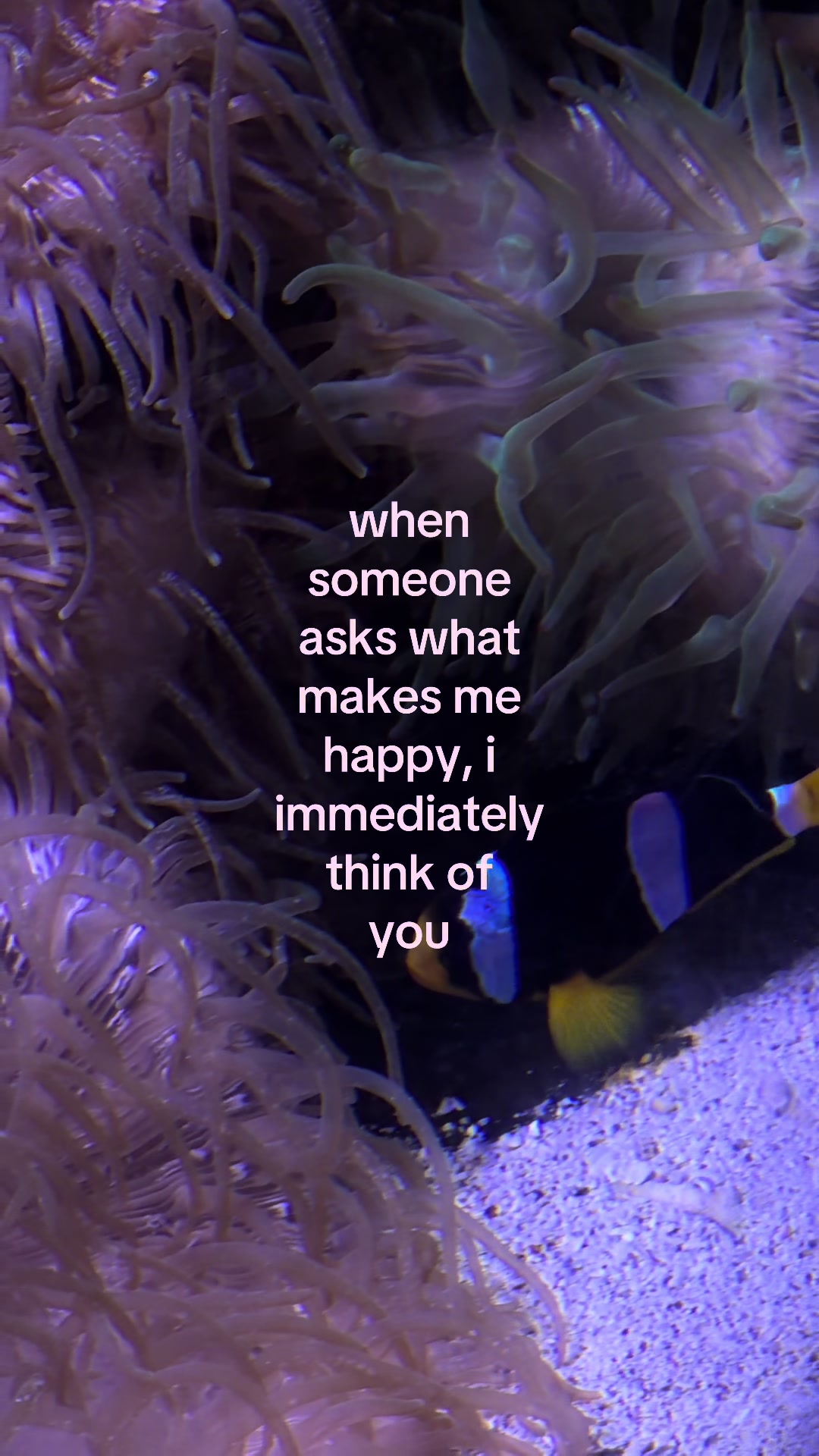 @something i couldn&rsquo;t say